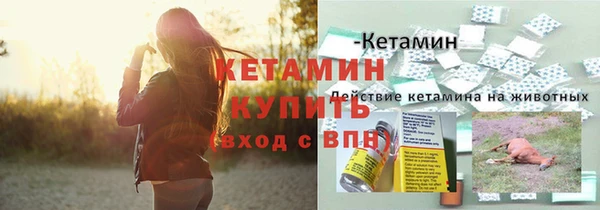 ПСИЛОЦИБИНОВЫЕ ГРИБЫ Горняк