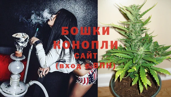 стафф Горнозаводск