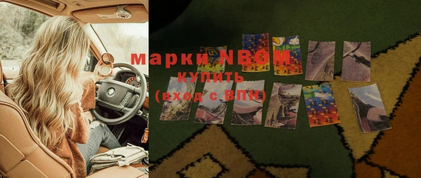 ПСИЛОЦИБИНОВЫЕ ГРИБЫ Горняк