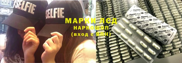 ПСИЛОЦИБИНОВЫЕ ГРИБЫ Горняк