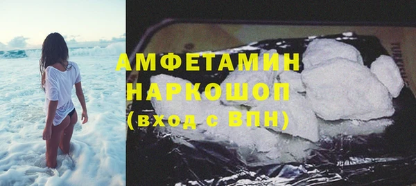 ПСИЛОЦИБИНОВЫЕ ГРИБЫ Горняк