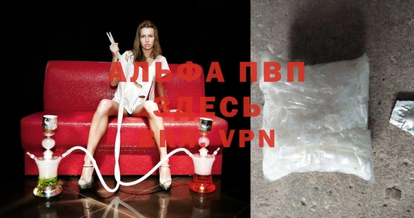 ПСИЛОЦИБИНОВЫЕ ГРИБЫ Горняк